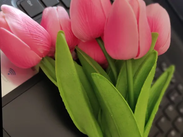 OnlyFans cuenta jackycurvy header 2