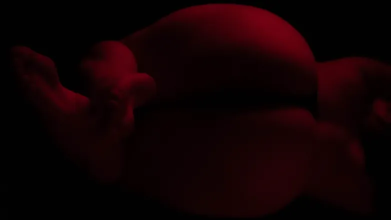 OnlyFans cuenta exclusivcrib header 2