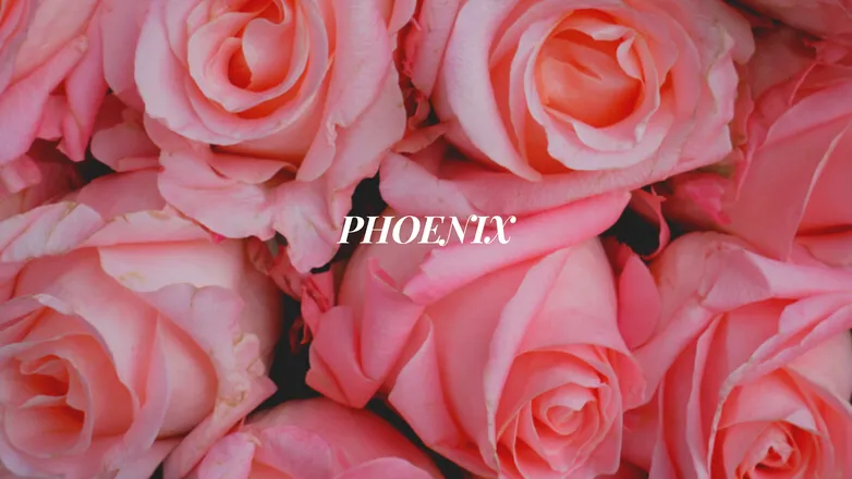 OnlyFans cuenta savagelexi header 2
