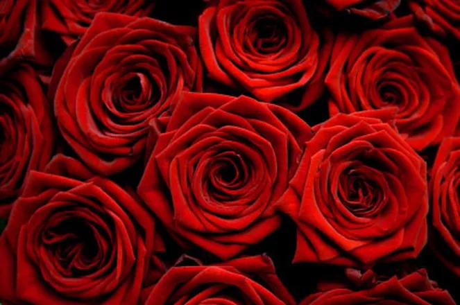 OnlyFans cuenta lexxxigrahamm header 2