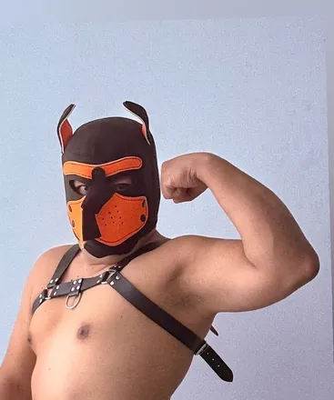 OnlyFans account  strikerwolf header 2