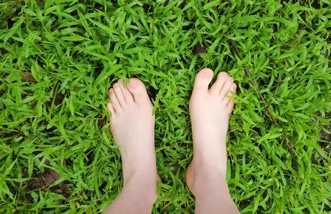 OnlyFans cuenta sssirenafeet avatar 1