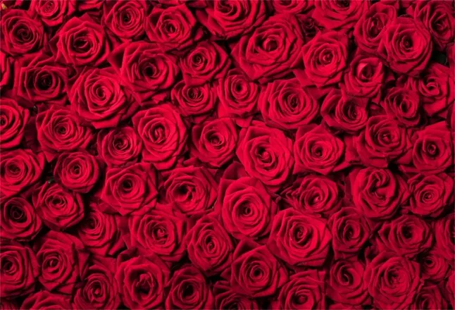 OnlyFans cuenta sageee1999 header 2