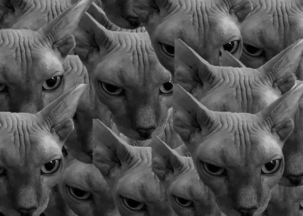 OnlyFans cuenta luciferhihi666 header 1
