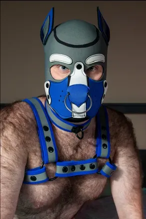 OnlyFans cuenta alphapupblue avatar 1