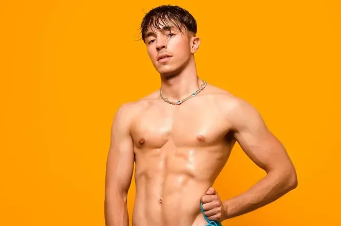 OnlyFans cuenta thevipoccitanprince avatar 1