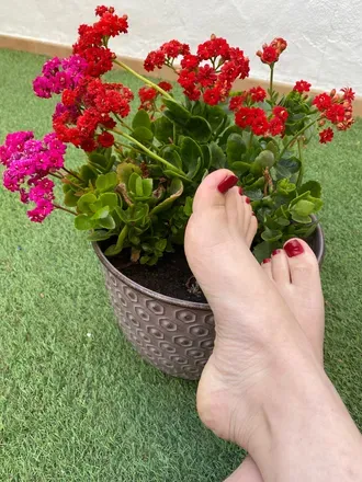 OnlyFans cuenta kate2303 header 2