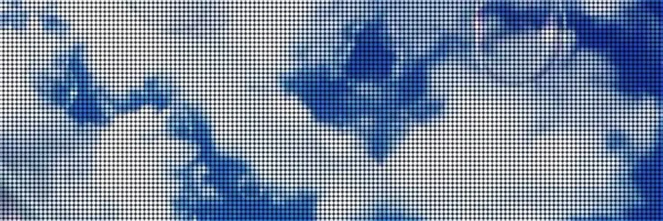OnlyFans cuenta fiji.water header 2