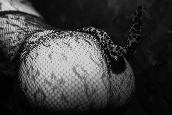 OnlyFans cuenta jazzlegrande header 2