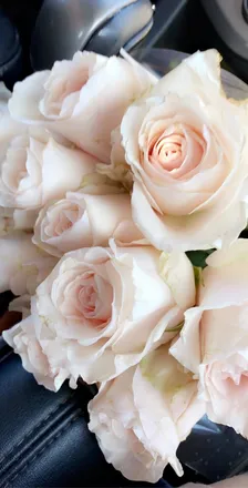 OnlyFans cuenta chey_chey2cute header 2