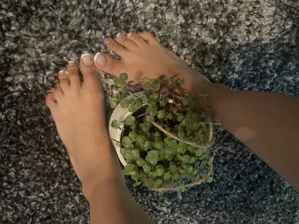 OnlyFans cuenta toesforless header 2