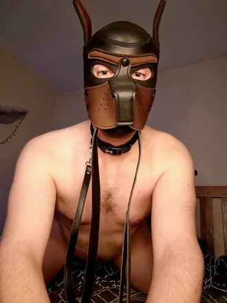 OnlyFans cuenta puppyboyshepherd avatar 1