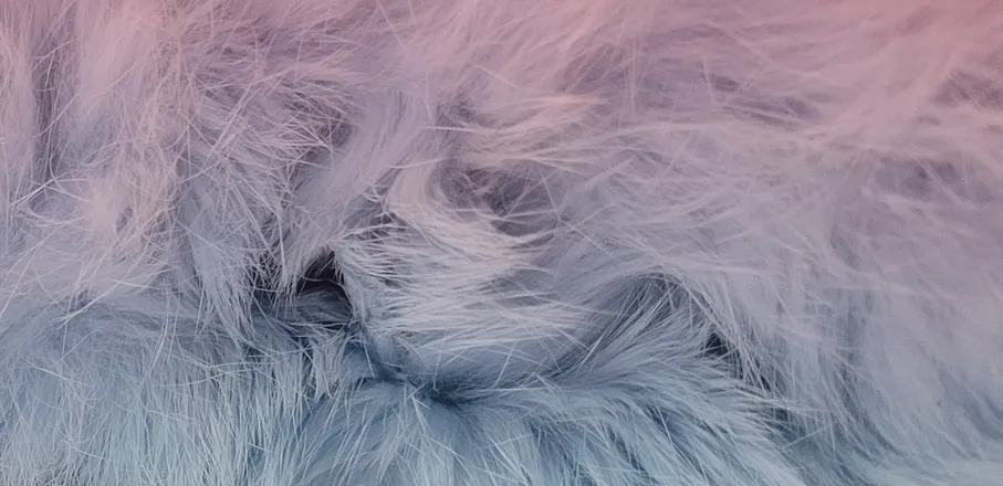 OnlyFans cuenta brookbythefoot header 2