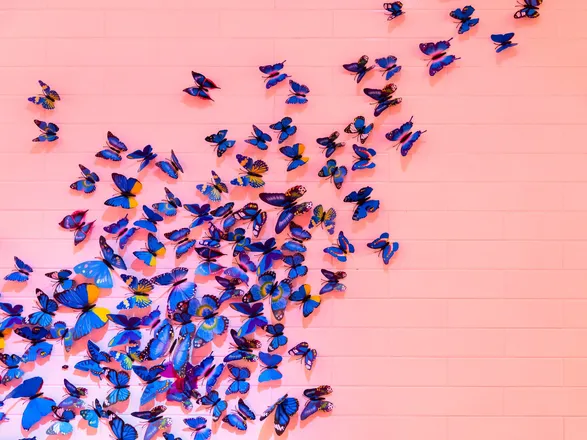 OnlyFans cuenta marybutterfly header 2