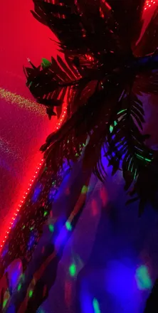 OnlyFans cuenta xoxoitsdakota header 2