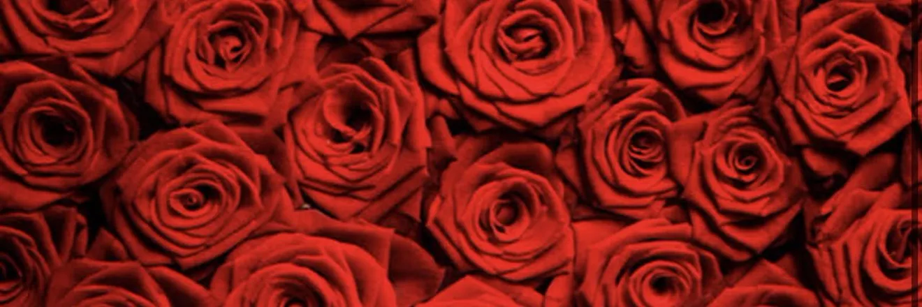 OnlyFans cuenta ashleylaf_69 header 2