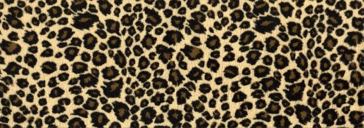 OnlyFans cuenta marasauce header 2