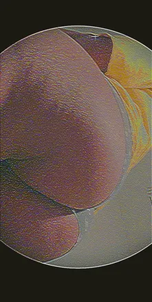 OnlyFans cuenta spicysouthernsugar header 2
