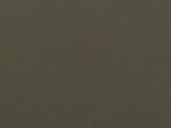 OnlyFans account  yourgirlavamilani header 2