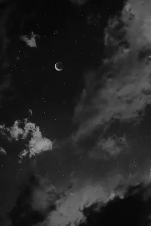 OnlyFans cuenta justalittlejaybird header 2