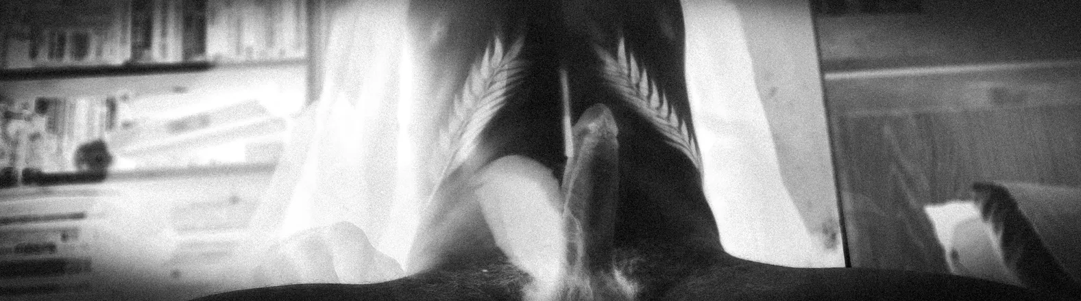 OnlyFans account  swedishstallion69 header 1