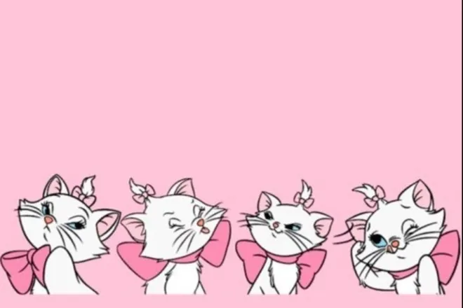 OnlyFans cuenta princessskitty333 header 2