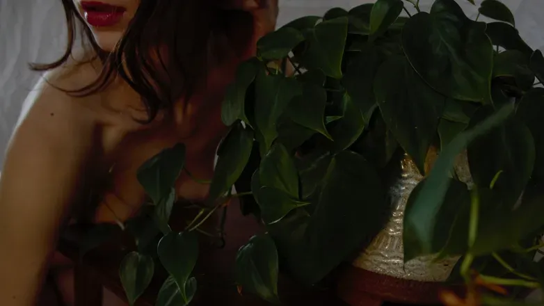 OnlyFans cuenta abbylucy header 2