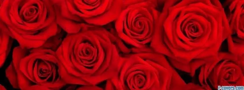 OnlyFans cuenta peneloperoze420 header 2