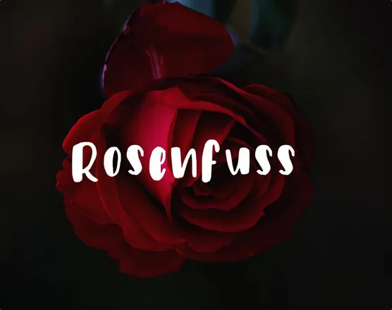 OnlyFans cuenta rosenfuss header 2