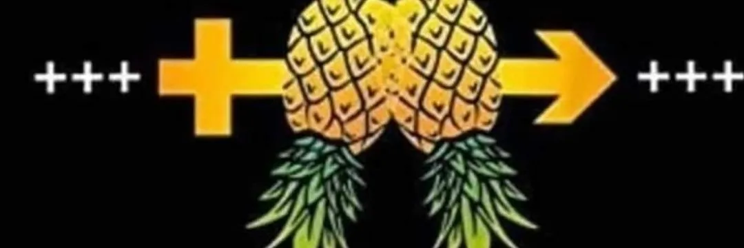 OnlyFans account  pineapplepartner header 2