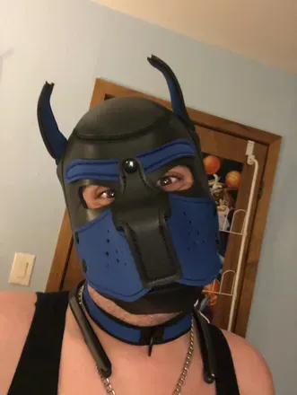 OnlyFans cuenta pup_sparkey avatar 1