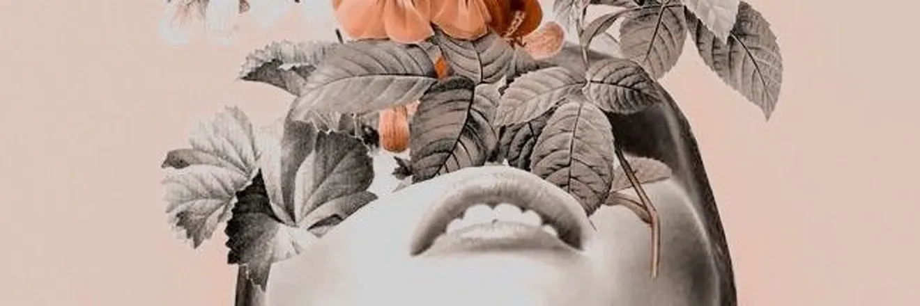 OnlyFans cuenta bottom_deli header 2