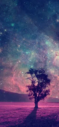 OnlyFans cuenta t4lisman header 2