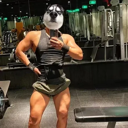 OnlyFans cuenta g4hhhh avatar 1