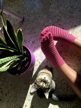 OnlyFans account  the.pink.kitten header 2