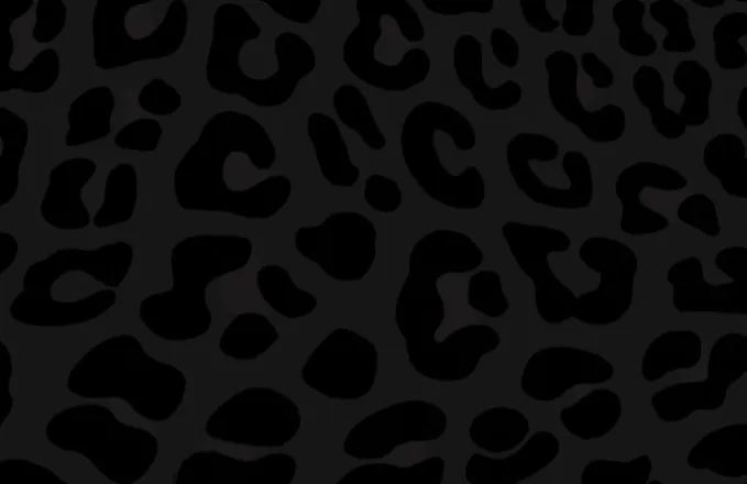 OnlyFans cuenta zandcfaa header 2