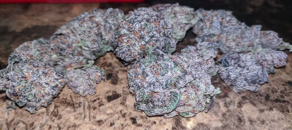 OnlyFans cuenta stonedvelma header 2