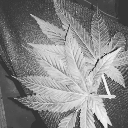 OnlyFans cuenta jugoxxx header 2