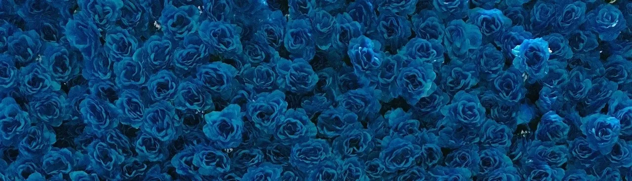 OnlyFans cuenta bonniefide_v header 2