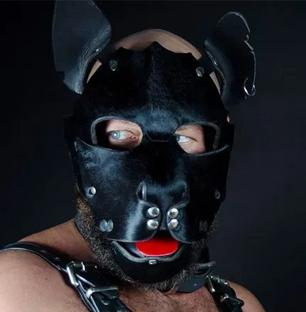 OnlyFans cuenta siriusmuscledog avatar 1