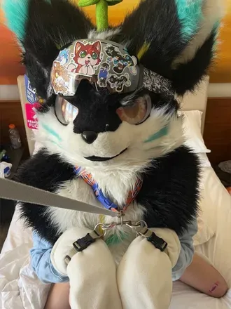 OnlyFans cuenta femboydoggo avatar 1