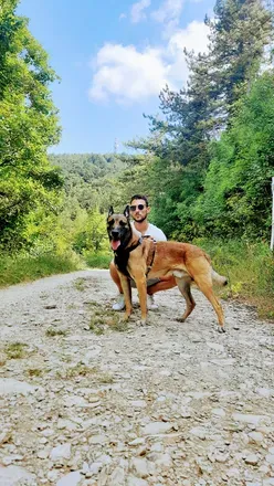 OnlyFans account  dogtrainerit avatar 1