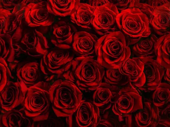 OnlyFans cuenta u65149839 header 2