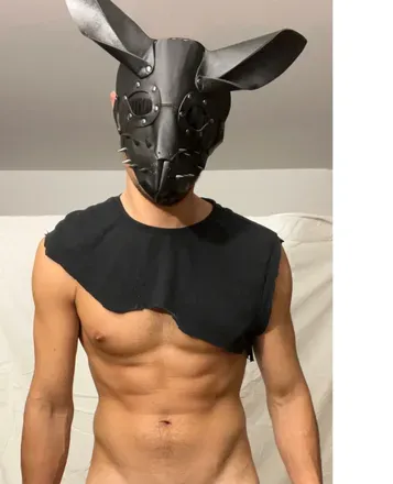 OnlyFans cuenta dombunnyxl avatar 1