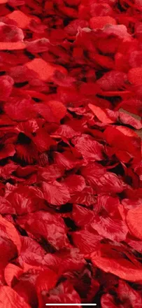 OnlyFans cuenta taylour__ header 2