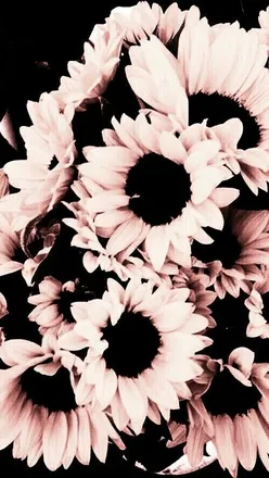 OnlyFans cuenta villancico header 2