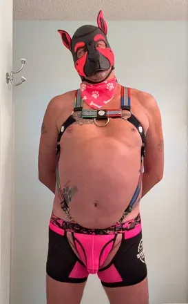 OnlyFans cuenta pupdraven avatar 1