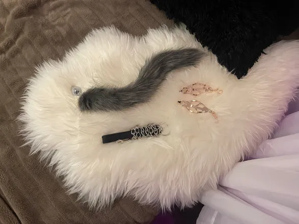OnlyFans cuenta taco_bella header 2