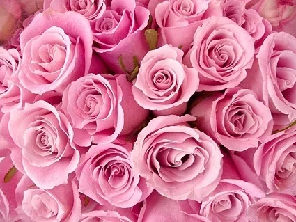 OnlyFans cuenta rosey.roses header 2