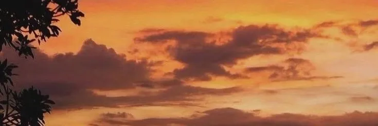 OnlyFans cuenta malibubarbiedoll header 2